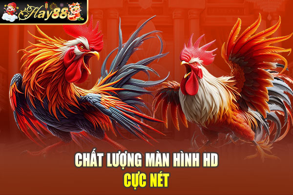 Chất lượng màn hình HD cực nét Chất lượng màn hình HD cực nét