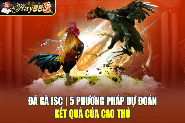 Đá Gà ISC | 5 Phương Pháp Dự Đoán Kết Quả Của Cao Thủ