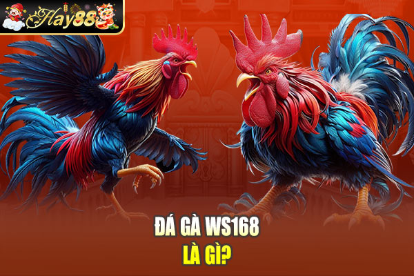 Đá gà WS168 là gì?