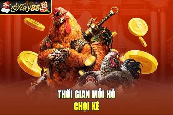 Thời gian mỗi hồ chọi kê Thời gian mỗi hồ chọi kê